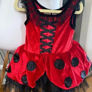 Kids Ladybug Costume